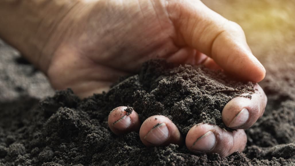 Agronomic Case Studies on Economic Impacts of Organic Transition