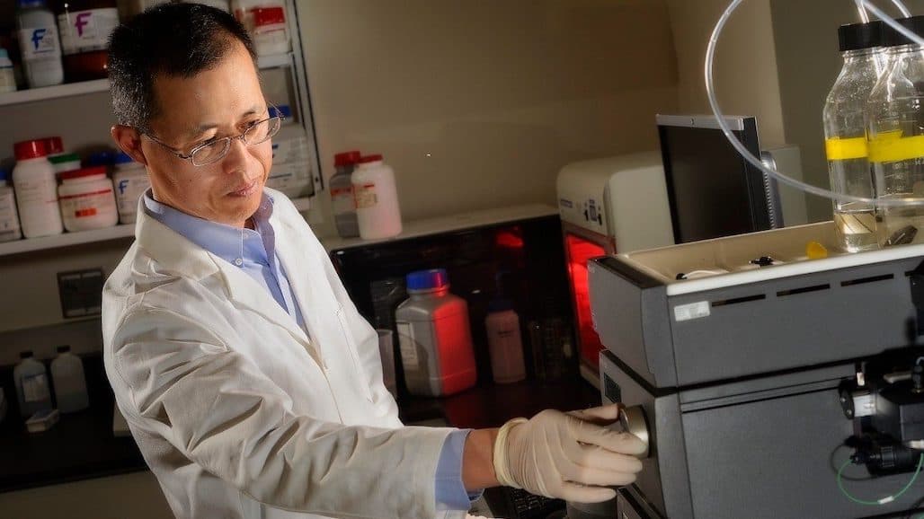Virginia Tech Researchers Developing New Vaccine for a Swine Coronavirus