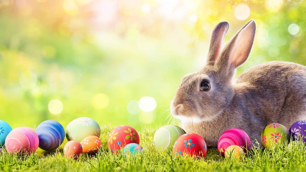 Avian Flu Puts Easter Egg Supplies at Risk