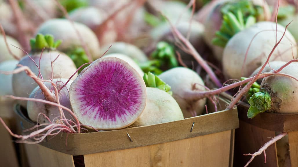 $19 Million Available To Support Beginning Farmers And Ranchers In 2022