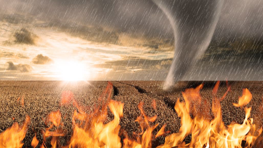 USDA Issues Over $4 Billion to Farmers in Emergency Relief Payments to Date