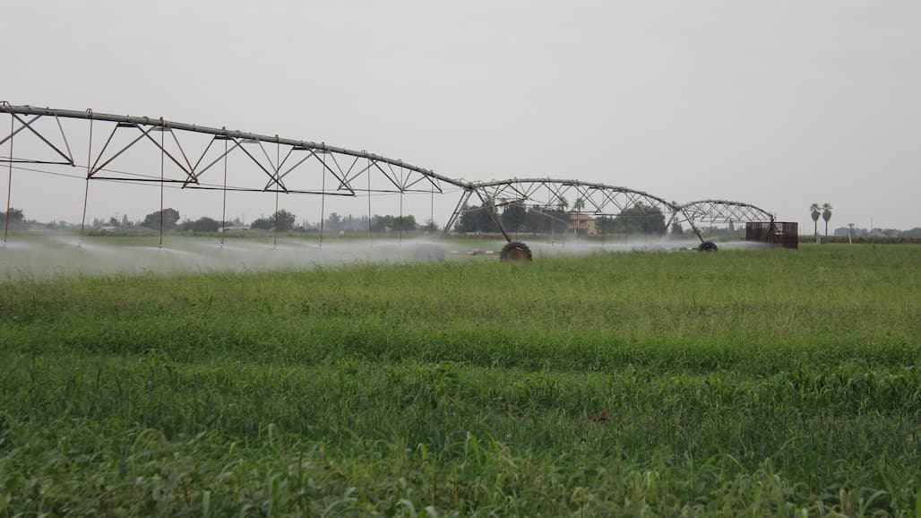 FDA Releases Spanish and English Paper-Based Versions of Ag Water Assessment Builder Tool