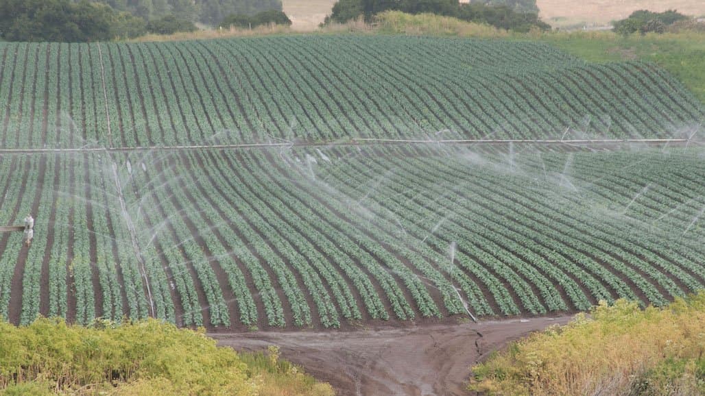 Digging Deeper into Climate Change Data