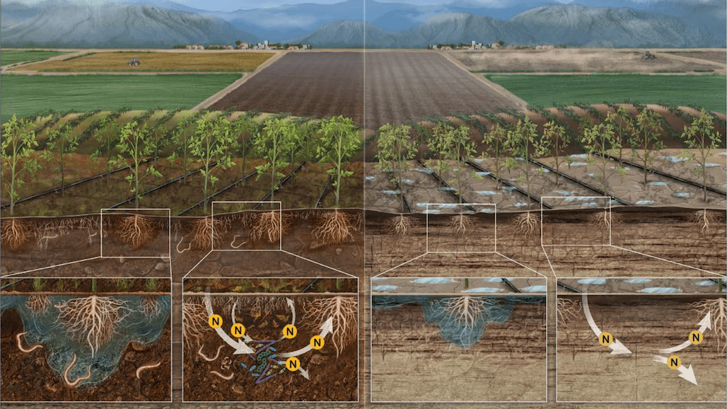 Six Barriers to Expanding Soil Health Practices in California