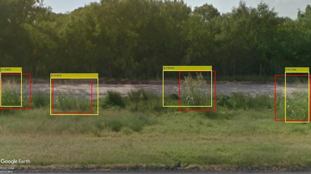 AI Enables Low-Cost Tracking of Invasive Johnsongrass