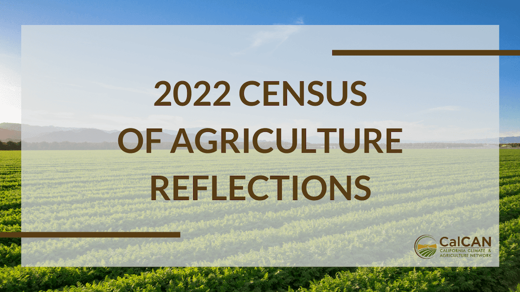 Reflections on the 2022 Census of Agriculture