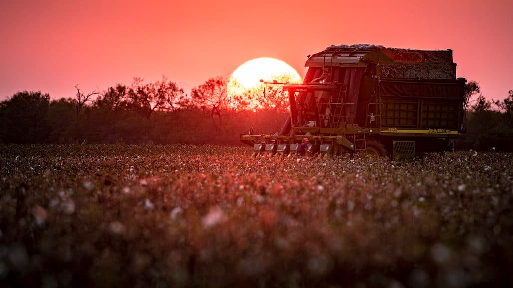 USDA Announces 2024 Cotton Loan Rate Differentials