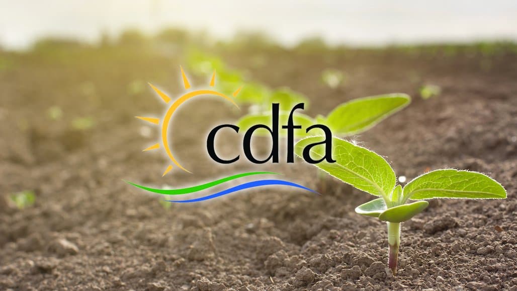 A Look at CDFA’s 2024-2025 Budget (and $29.4M in Cuts)