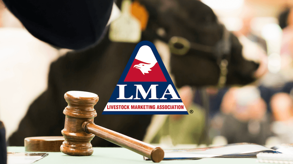 Livestock Marketing Association Supports Re-Introduction of A-PLUS Act