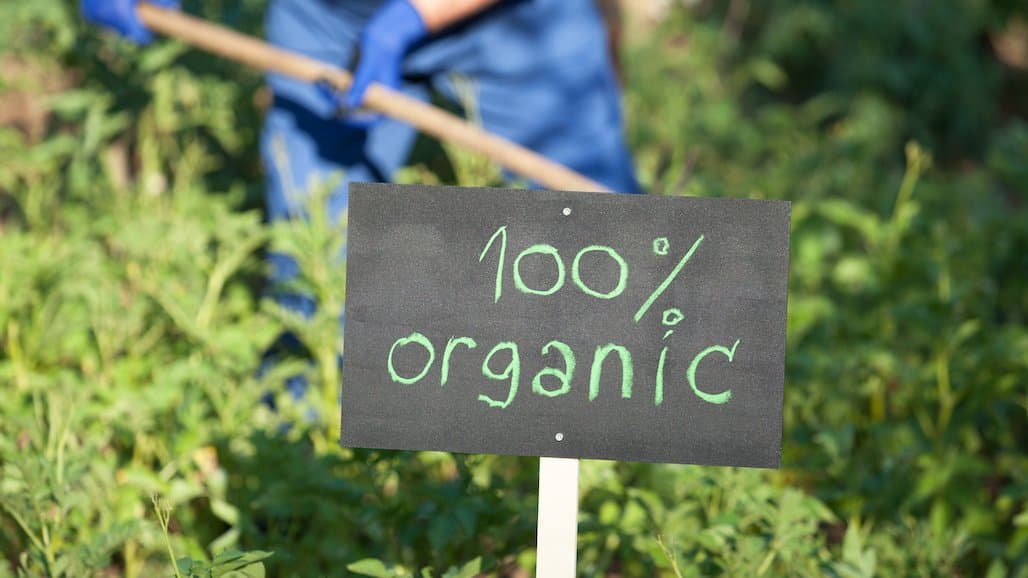 New Webinar Series by CAFF and UC Aids Farmers Transitioning to Organic